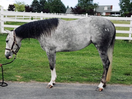 20994284_10211624334942191_9026366028900355917_n