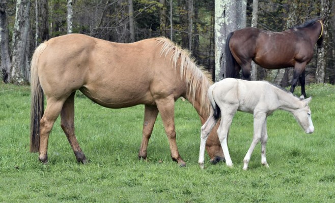 428692780_10168869142170694_8940590699885747048_n