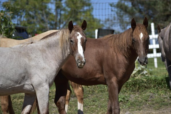 428710599_10168869142915694_3675392354409868085_n