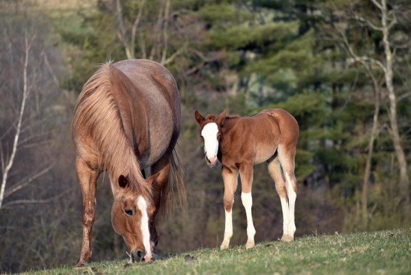 436001589_10168967416990694_5321287052231733631_n