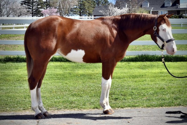 439118699_10168999360990694_5983616524701940003_n