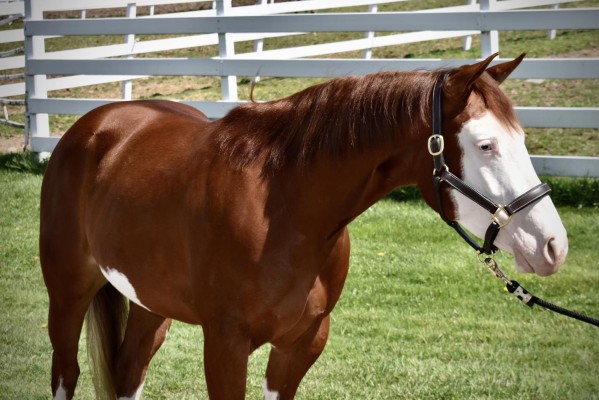 439287010_10168999361085694_144413771255683003_n