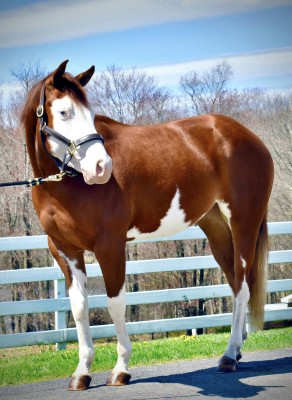 439337968_10168999360945694_1974613794573877380_n