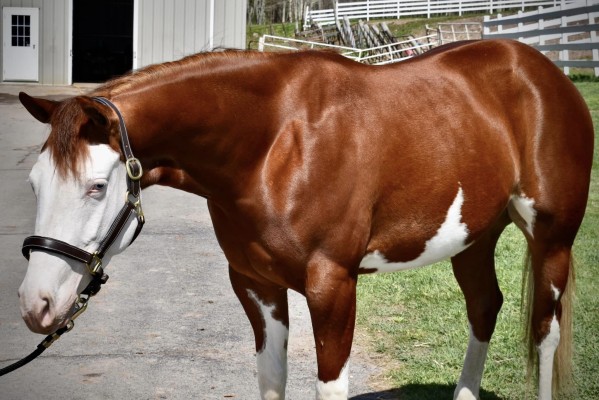 439456820_10168999361040694_5158664401096671898_n