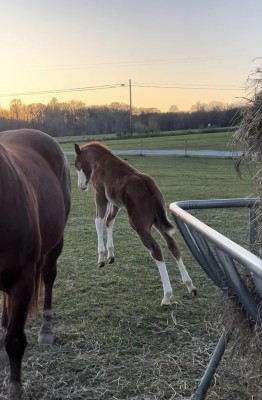 439599179_10169011190180694_8029508157598831871_n