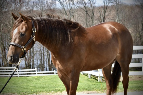 439953275_10169015092400694_1558048146428439141_n