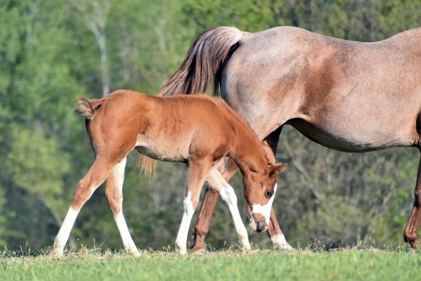 440895866_10169041960180694_6929900031363255427_n