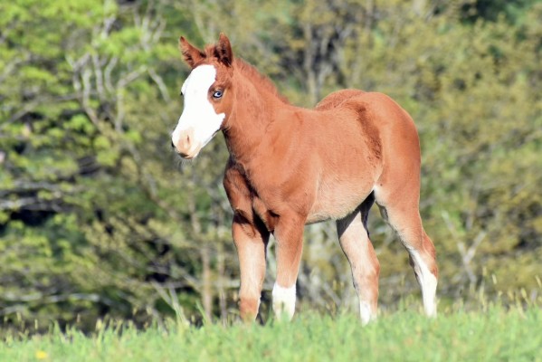 441394023_10169041960225694_4754340691170222500_n