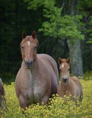 444469148_10169130700875694_427019027780105891_n