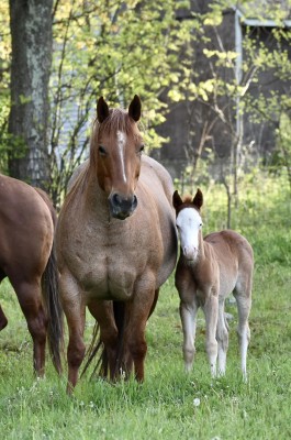 447305962_10169130705430694_3313793711881571376_n