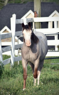 449779025_10169261928910694_1201099559209435446_n