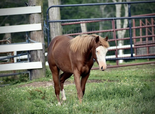 449788310_10169261457860694_3023035541621401761_n